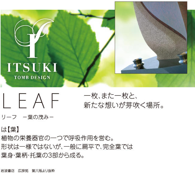 ITSUKI LEAF (イツキ リーフ)